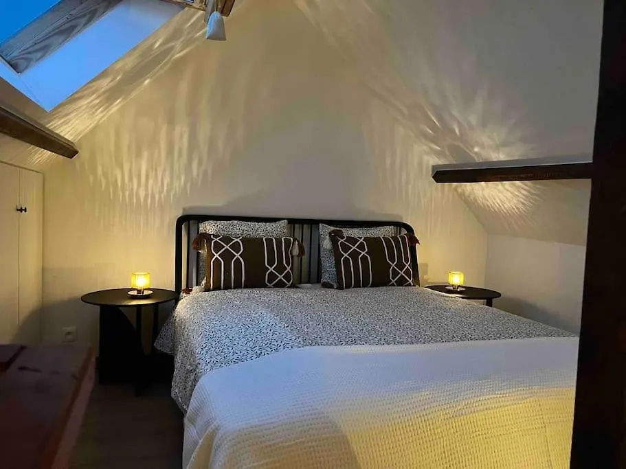 Cosy Apartment Antwerpen Center2