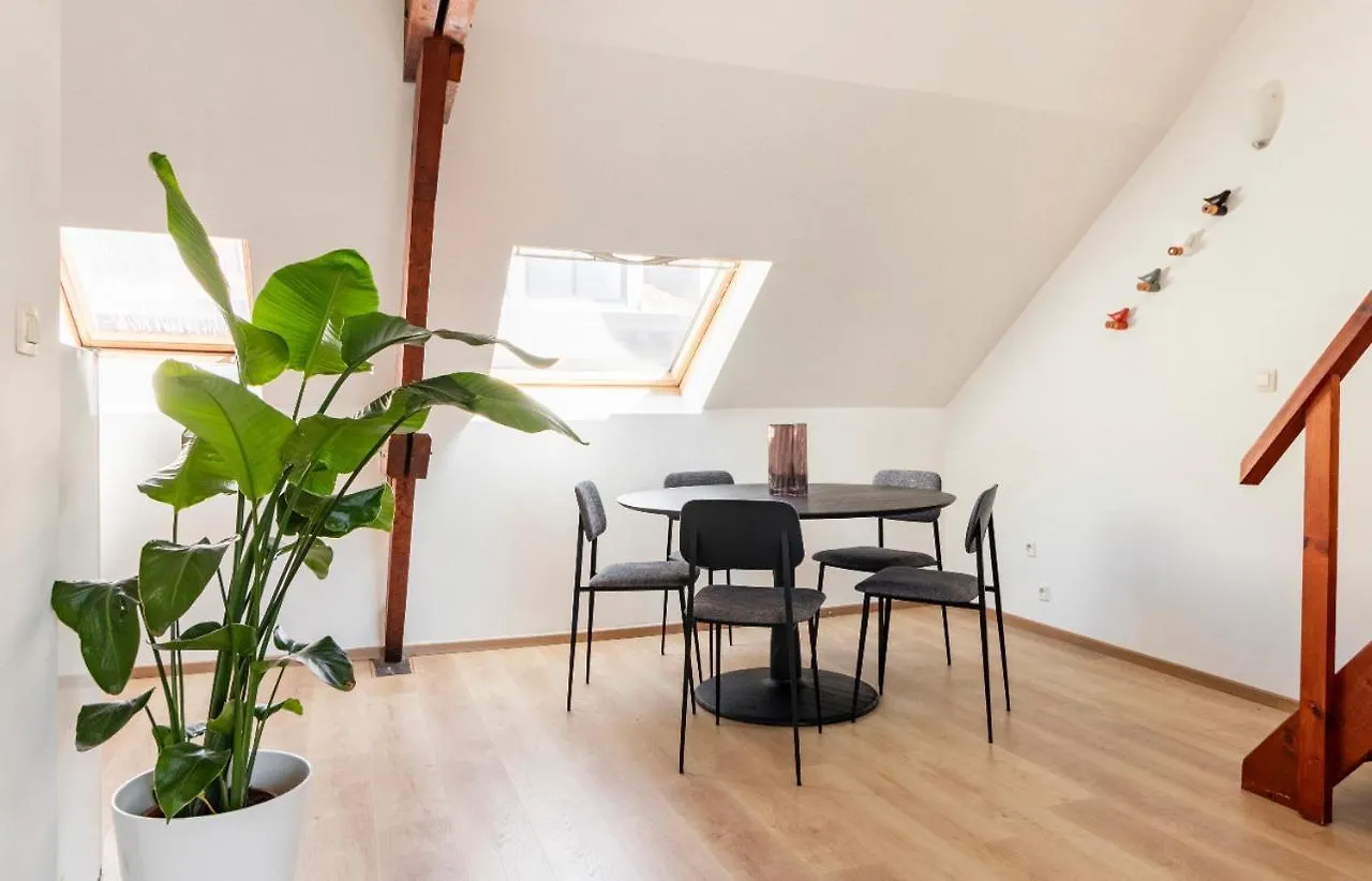 Cosy Apartment Antwerpen Center2 0*, Antwerp Belgium